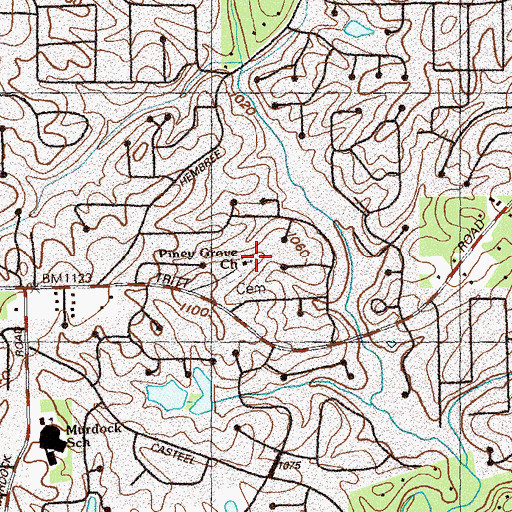 Topographic Map of Piney Grove Cemetery, GA