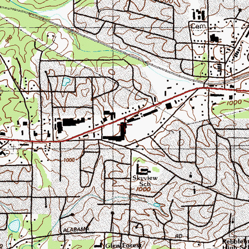 Topographic Map of Strickland and Peek Cemetery (historical), GA