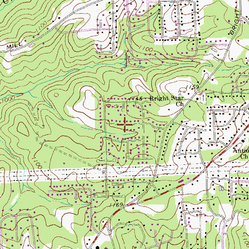 Topographic Map of Bright Star, GA