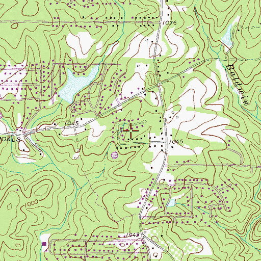Topographic Map of Kings West, GA