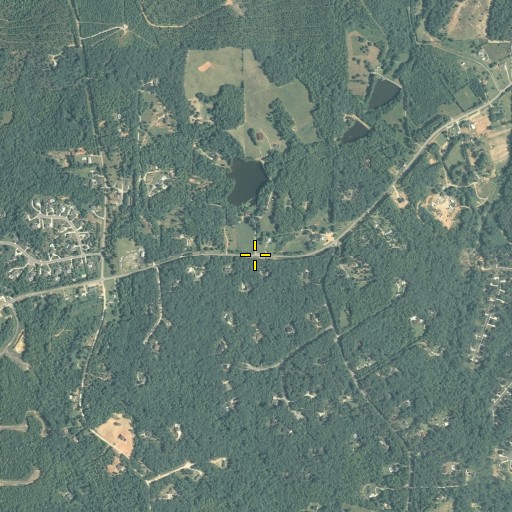 Aerial/Satellite Image of Tyree, GA