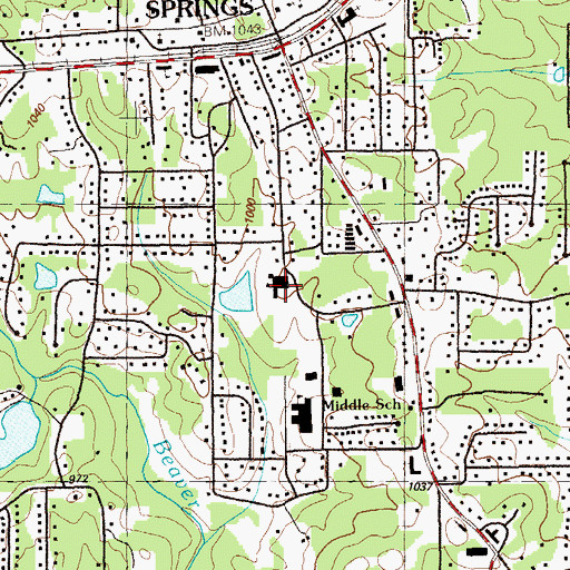 Topographic Map of Lithia Springs Elementary School, GA