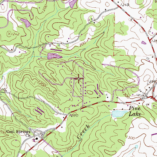 Topographic Map of Cool Springs Forest, GA
