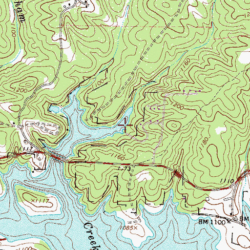 Topographic Map of Upper Latham Creek Access Point, GA