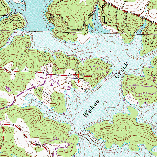 Topographic Map of Chapman, GA