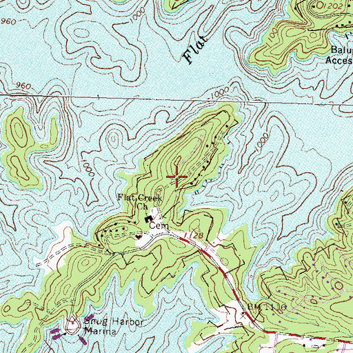 Topographic Map of Flat Creek, GA