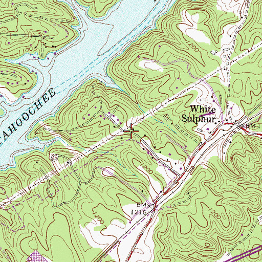 Topographic Map of Pine Point, GA