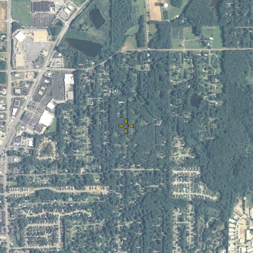 Aerial/Satellite Image of Blakely Woods, GA