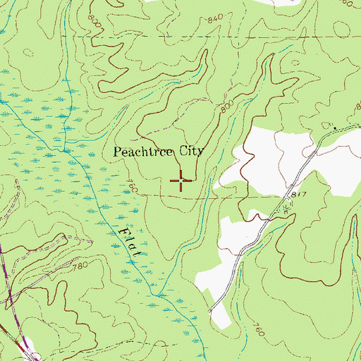 Topographic Map of Hamptons Corner, GA