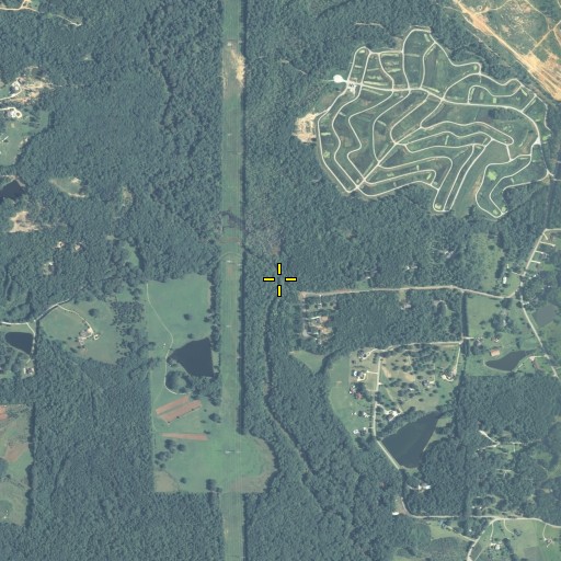 Aerial/Satellite Image of Hills Bridge, GA