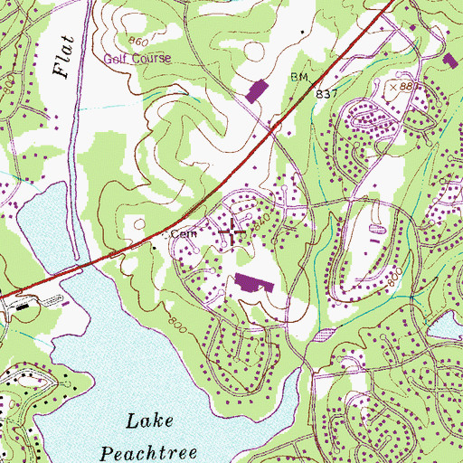 Topographic Map of Piney Knoll, GA