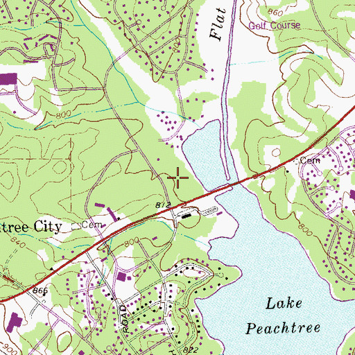 Topographic Map of Ridgelake, GA