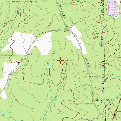 Topographic Map of Tamerlane, GA