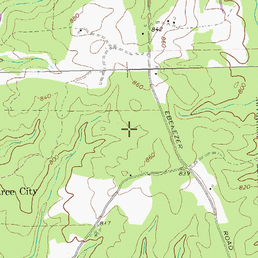 Topographic Map of The Marks, GA