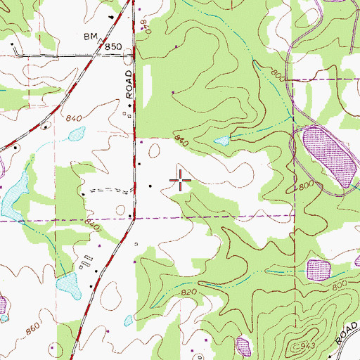 Topographic Map of The Meadows, GA