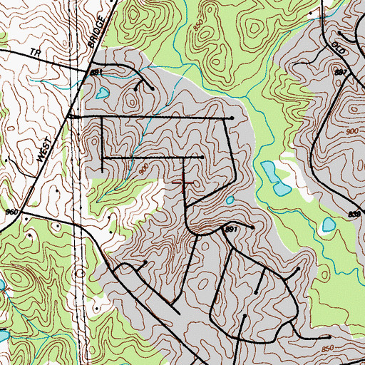Topographic Map of Westbridge, GA