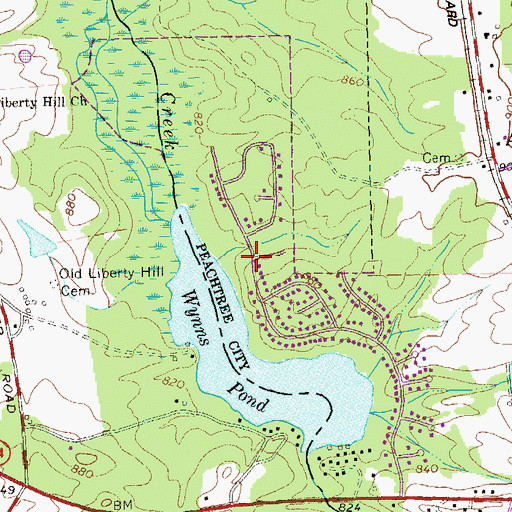 Topographic Map of Wynnmeade, GA