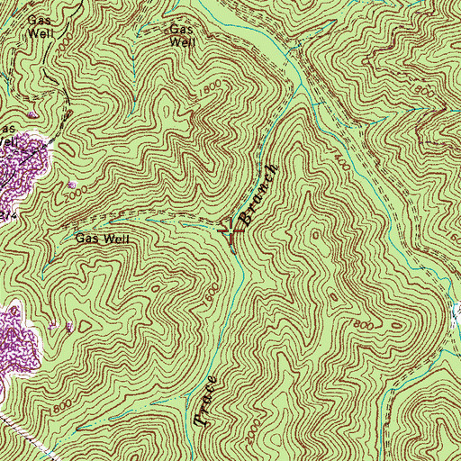 Topographic Map of Coon Branch, WV