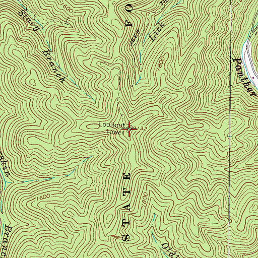 Topographic Map of Panther Lookout Tower, WV