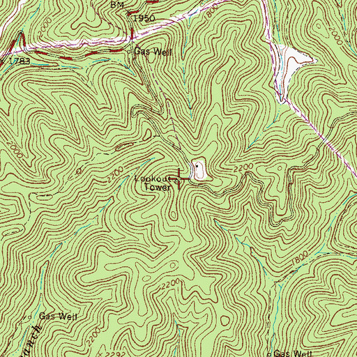Topographic Map of Olga Number 2 Lookout Tower, WV