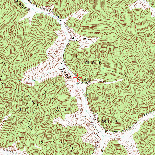 Topographic Map of Beech Lick School (historical), WV