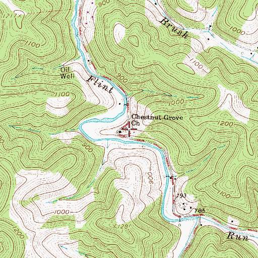Topographic Map of Chestnut Grove Cemetery, WV