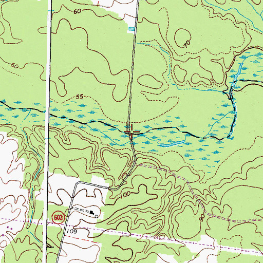 Topographic Map of New Bridge, VA