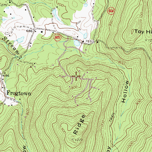Topographic Map of Ashby Run, VA