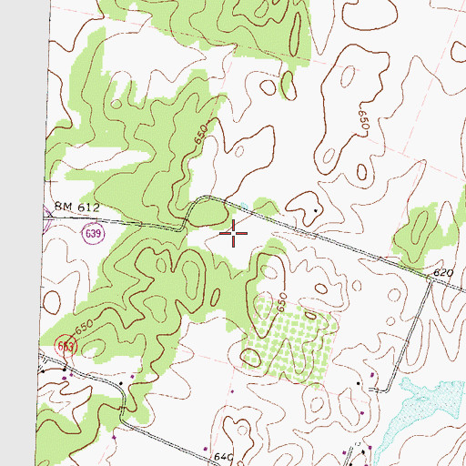 Topographic Map of Cedar Grove Estate, VA