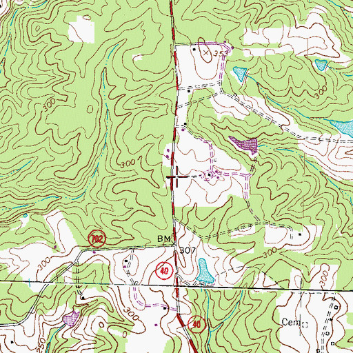 Topographic Map of Dickerson Store, VA