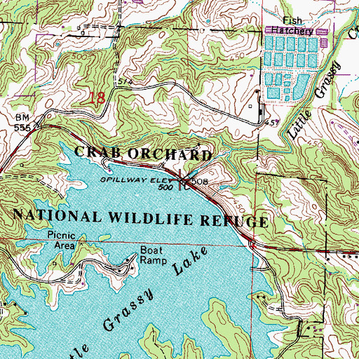 Topographic Map of Little Grassy Dam, IL