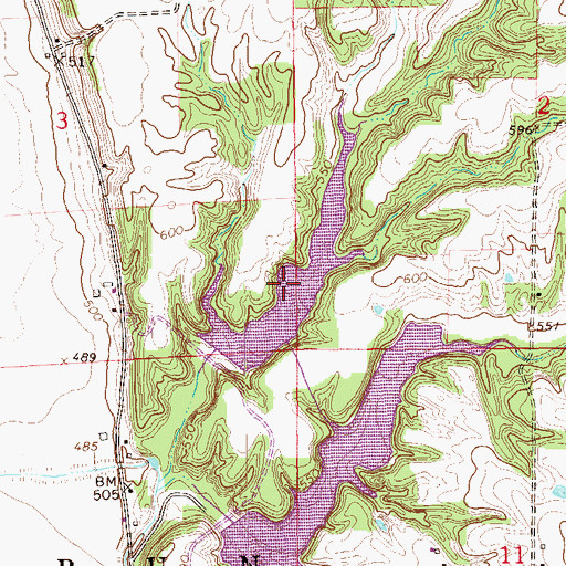 Topographic Map of Little Rocky Run Lake, IL