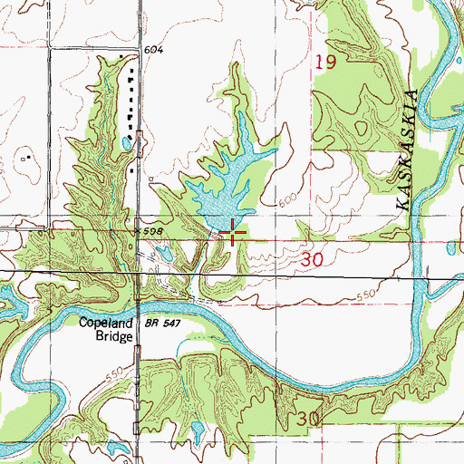 Topographic Map of Langley Pond Dam, IL