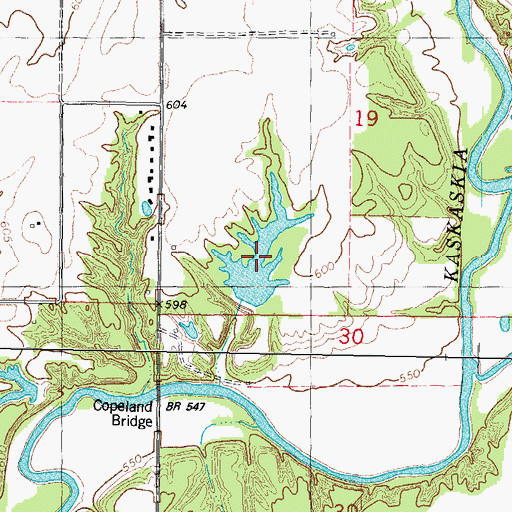 Topographic Map of Langley Pond, IL