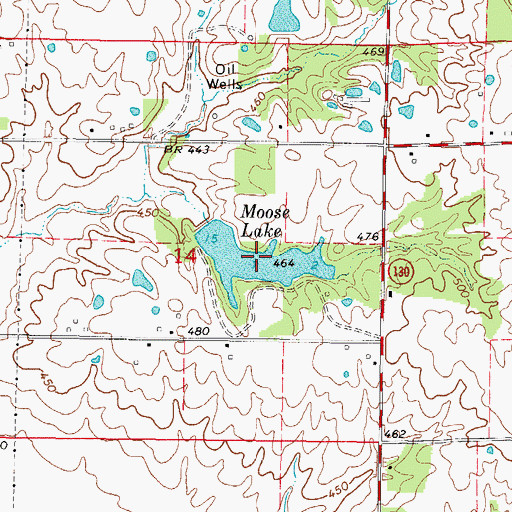 Topographic Map of Moose Lake, IL
