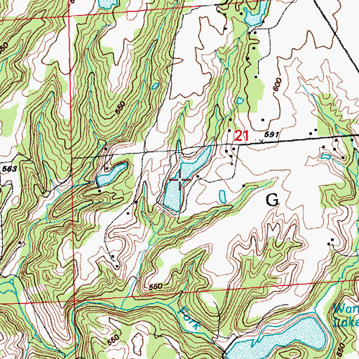 Topographic Map of Wilkinson Pond, IL