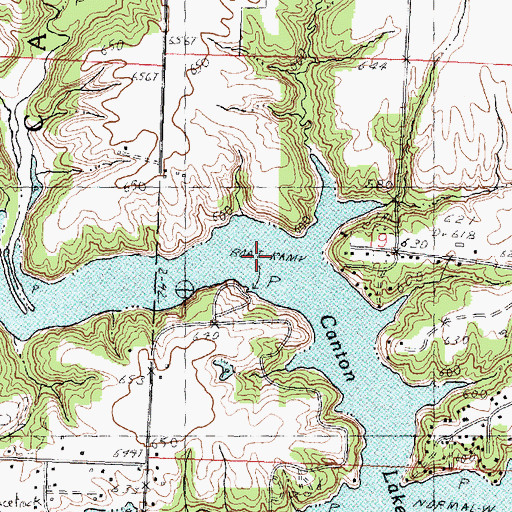 Topographic Map of Canton City Lake, IL