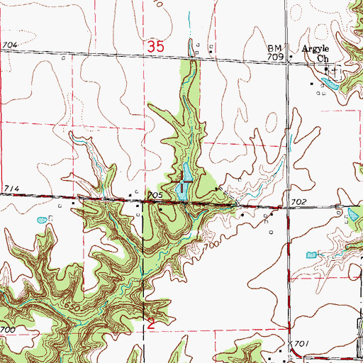Topographic Map of Irish Lake, IL