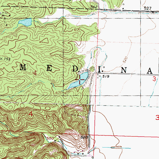 Topographic Map of Smith Lake, IL