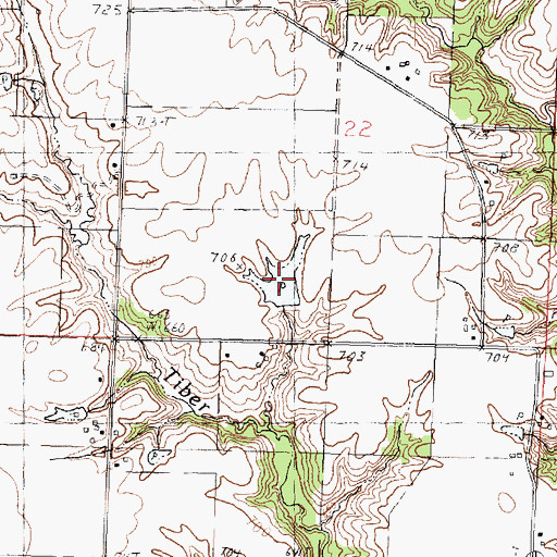 Topographic Map of Grahams Lake, IL