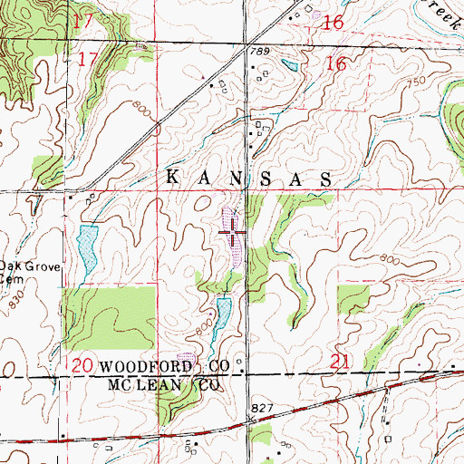 Topographic Map of Schlipf Lake, IL