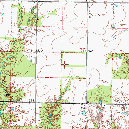 Topographic Map of Neffs Lake, IL