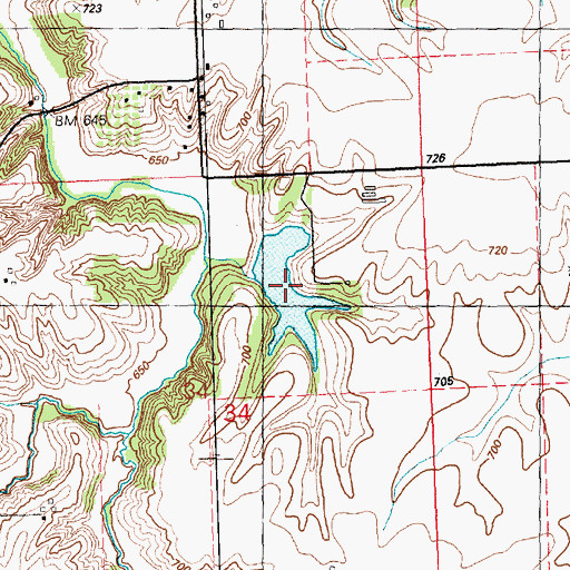Topographic Map of Swint Lake, IL