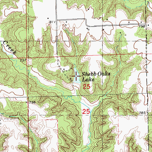 Topographic Map of Shebb Oaks Lake, IL