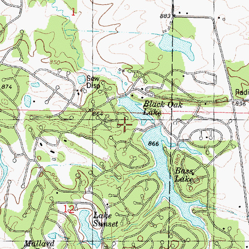 Topographic Map of Bass Lake Dam, IL
