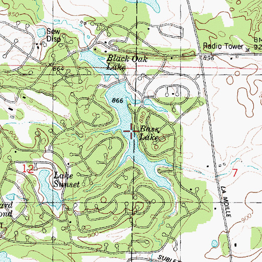 Topographic Map of Bass Lake, IL