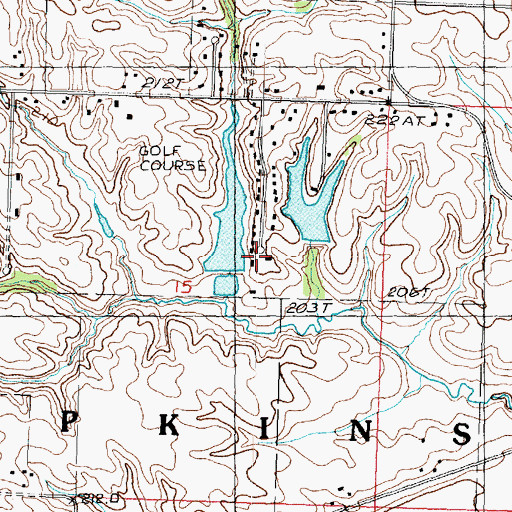 Topographic Map of Leo Johnson Lake Dam, IL