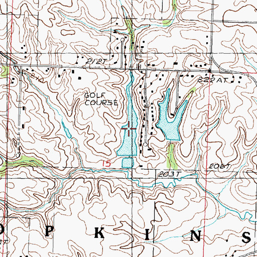 Topographic Map of Leo Johnson Lake, IL