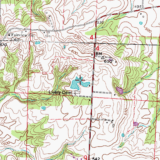 Topographic Map of Langford Pond, IL