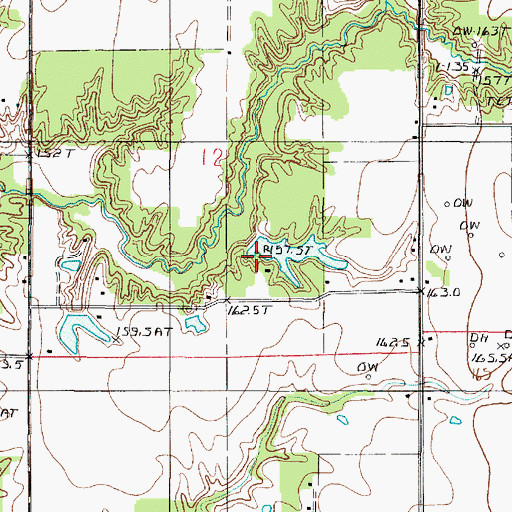 Topographic Map of Burcham Pond Dam, IL